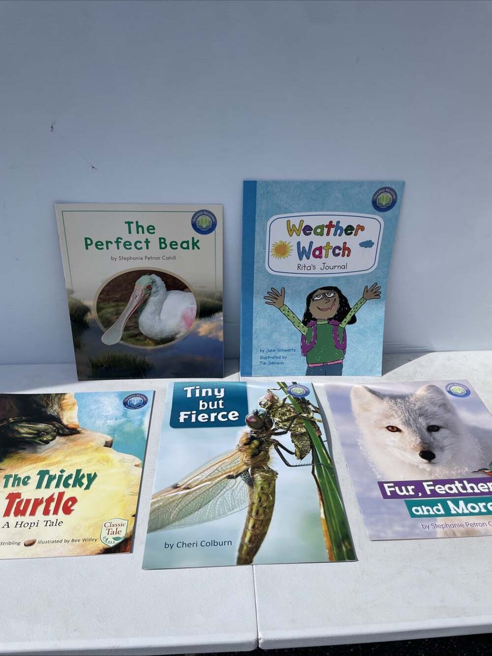 Fountas & Pinnell Literacy Shared Reading Big Book Teacher Lap Book Lot Of 5